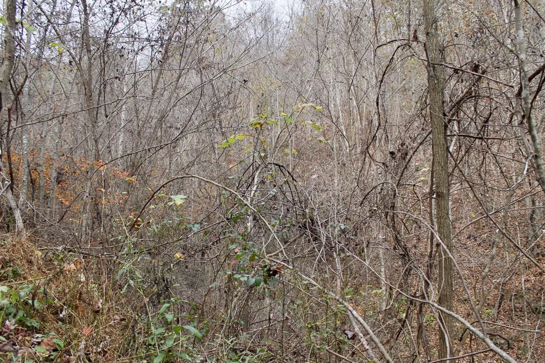 Autumn Ridge Tract 11 photo 12