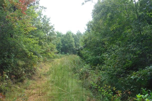 Sugartree Falls Tract 39 photo 1