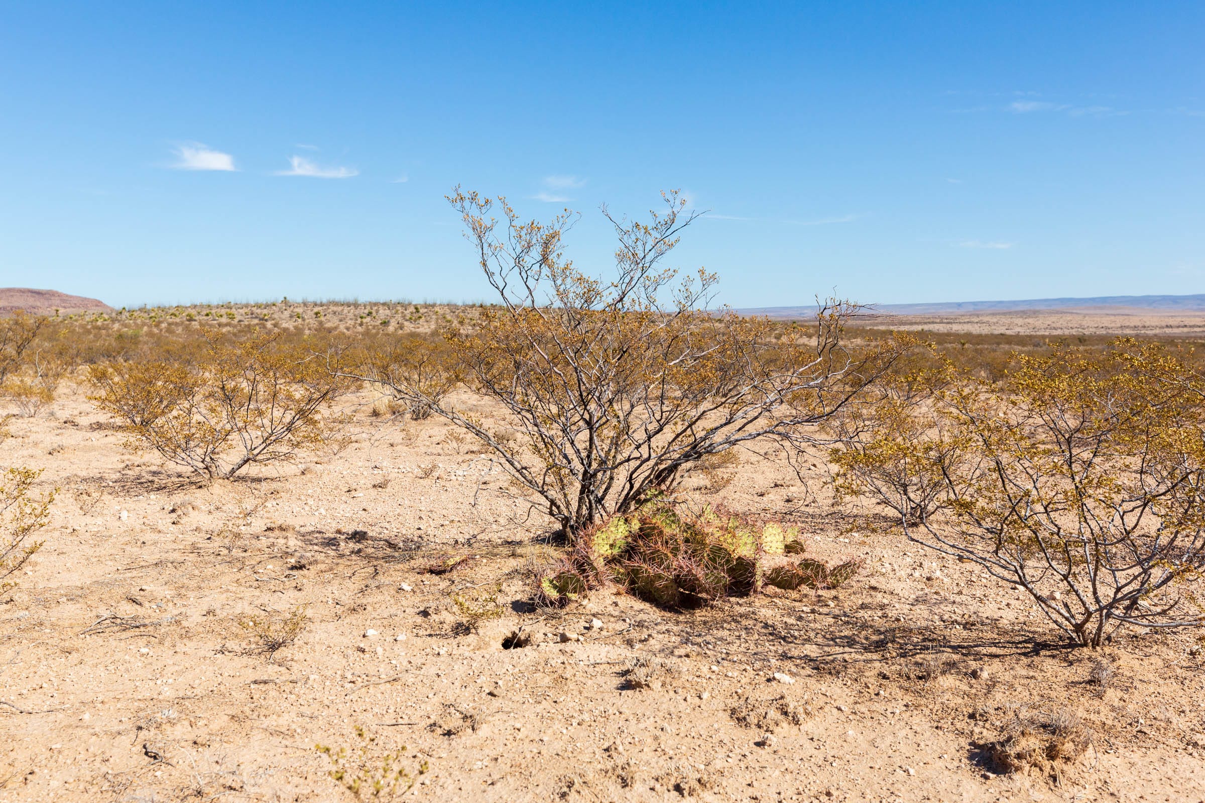 Sunrise Ranches Phase III Tract 129 photo 14