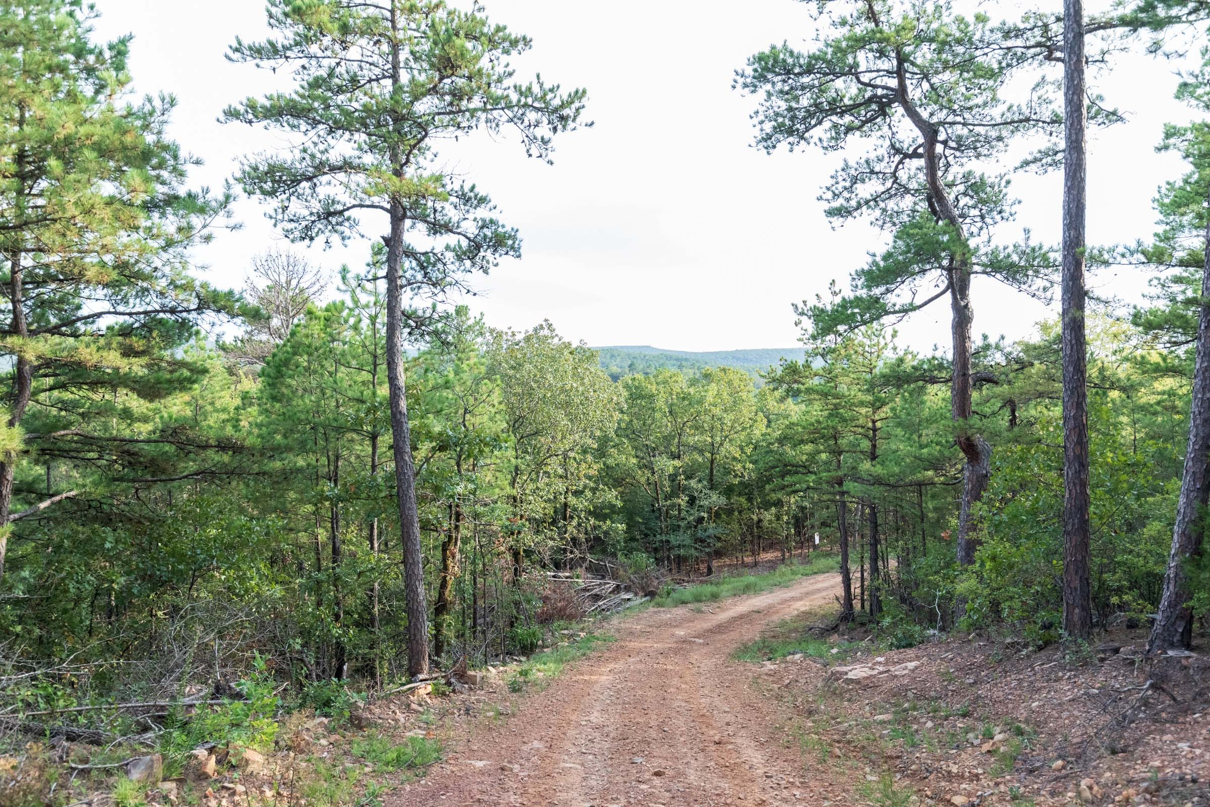 Stone Bridge Phase V Tract 363 photo 8
