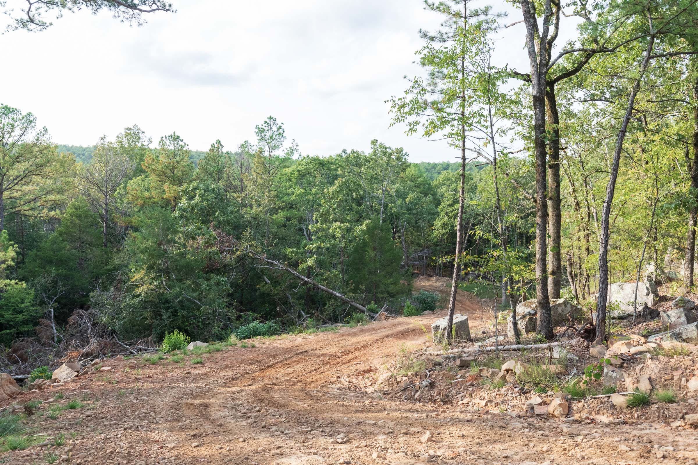 Stone Bridge Phase V Tract 363 photo 14