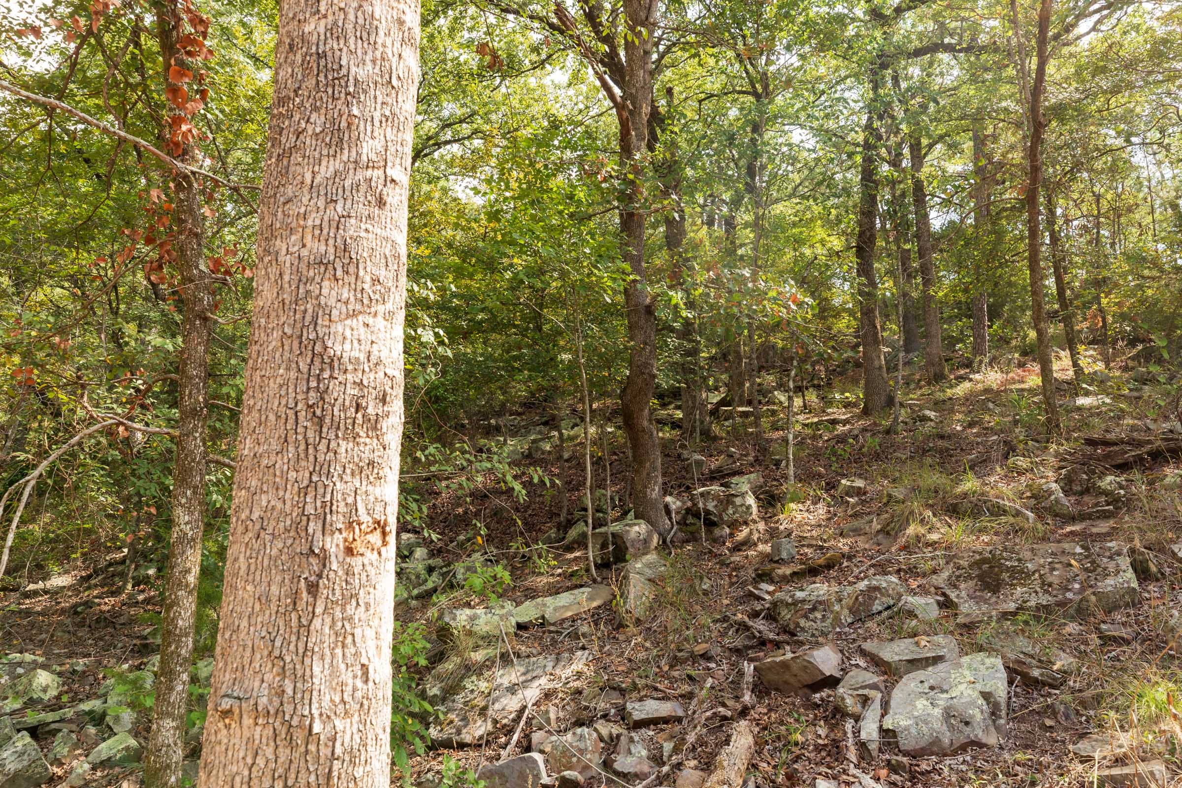 Stone Bridge Phase V Tract 363 photo 6