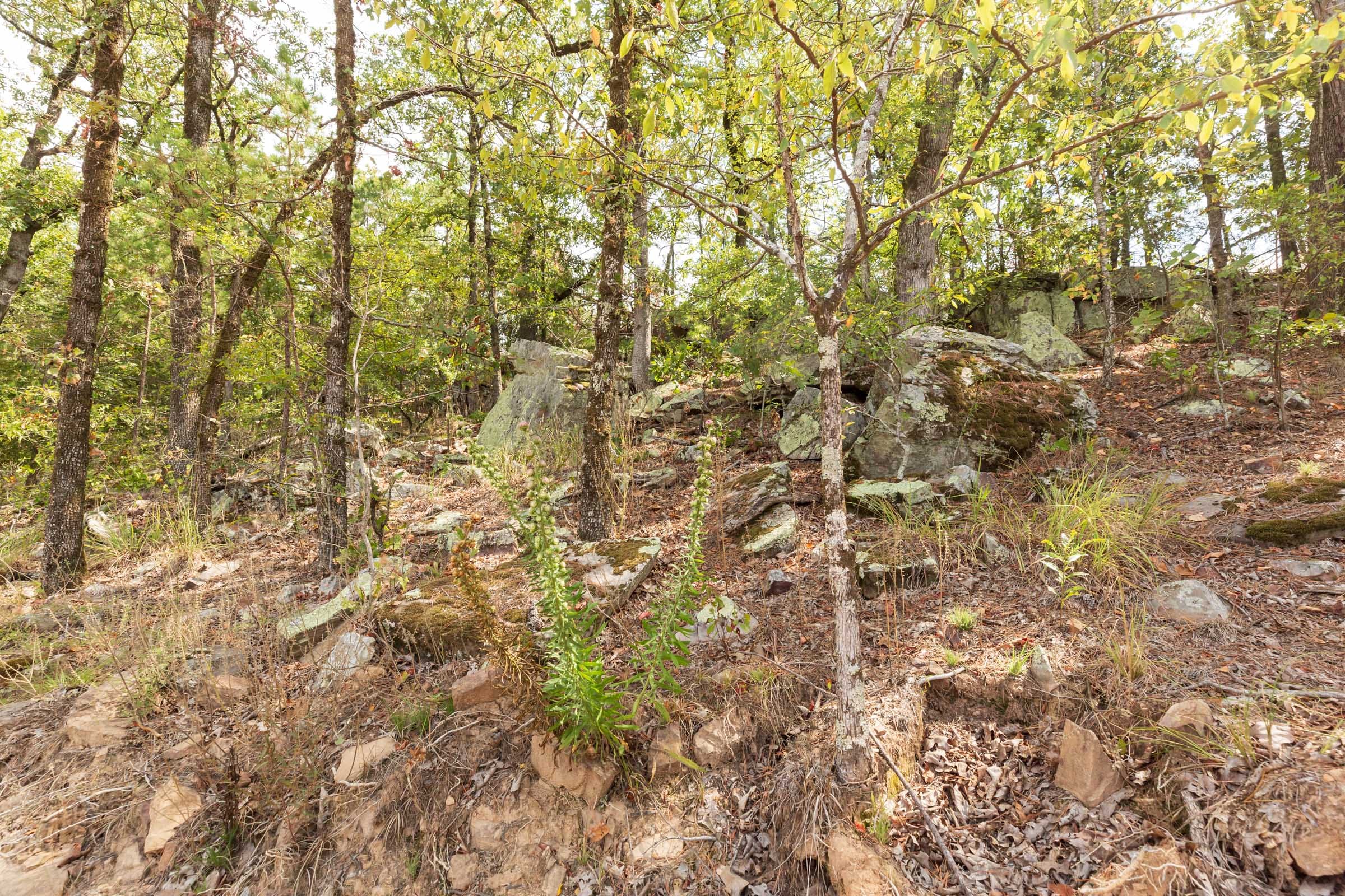 Stone Bridge Phase V Tract 363 photo 10