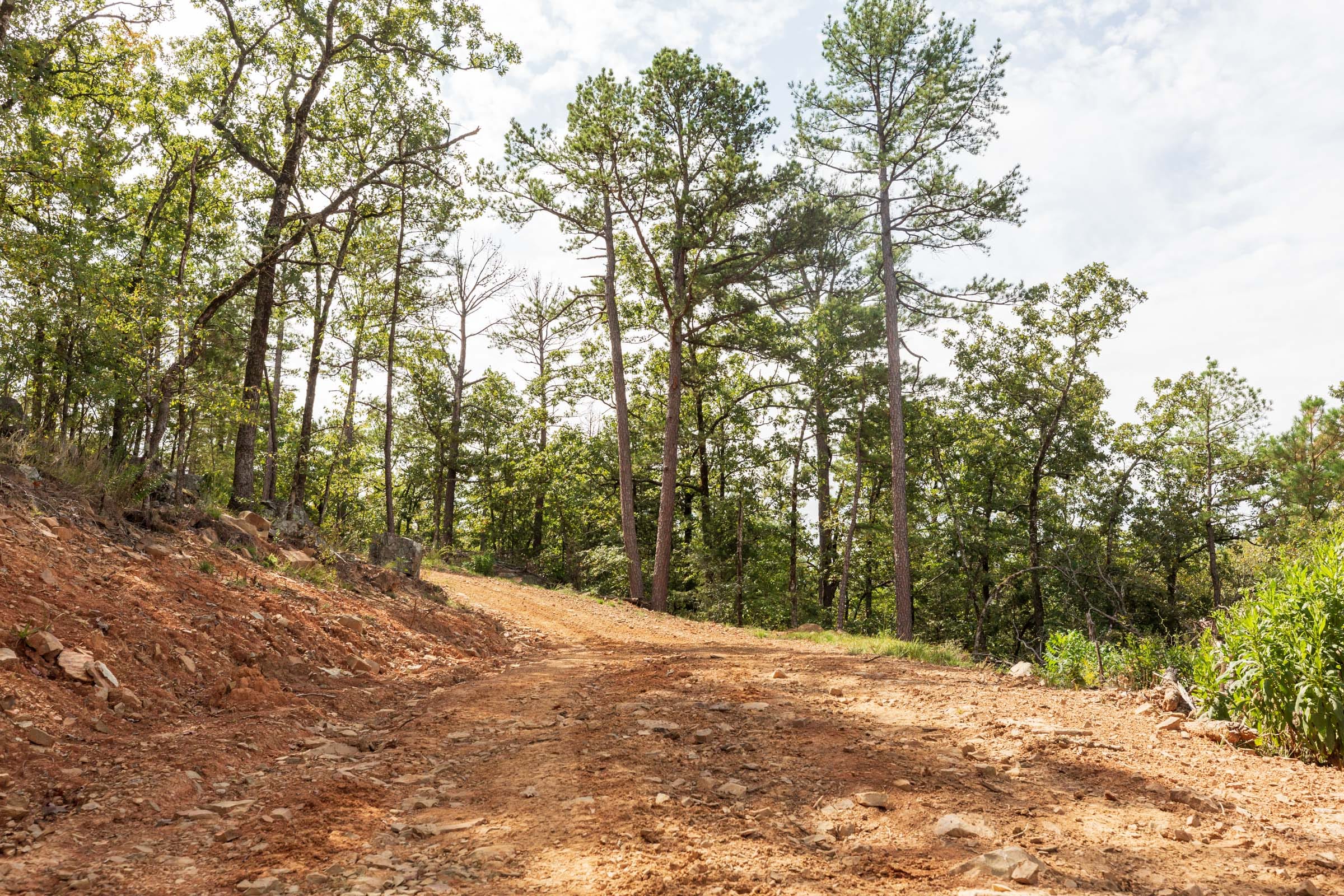 Stone Bridge Phase V Tract 363 photo 11