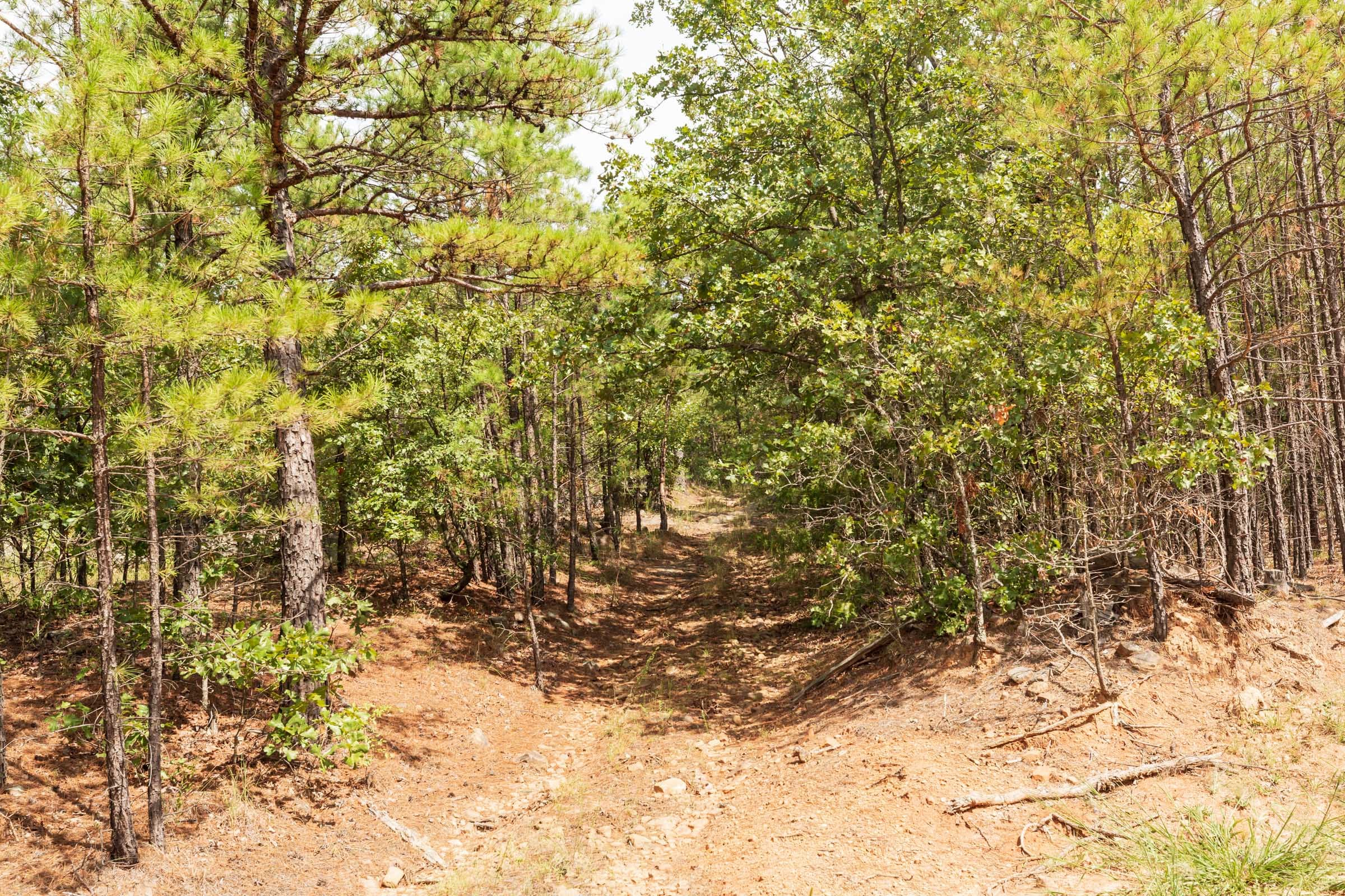 Stone Bridge Phase V Tract 363 photo 15