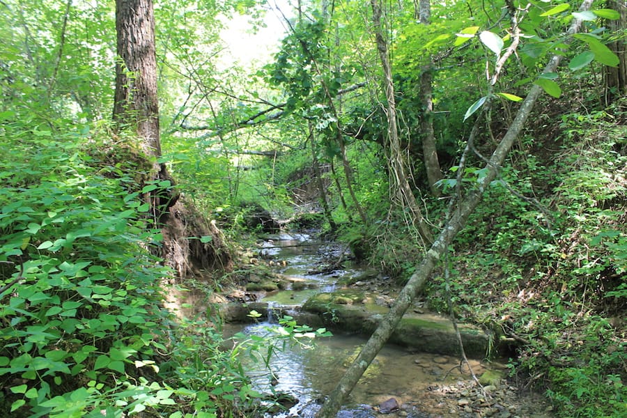 Cumberland Ridge Ranch Tract 7 photo 4