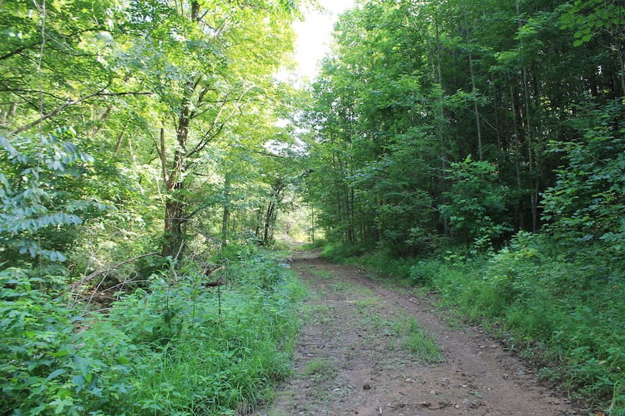 Cumberland Ridge Ranch Tract 7 photo 2