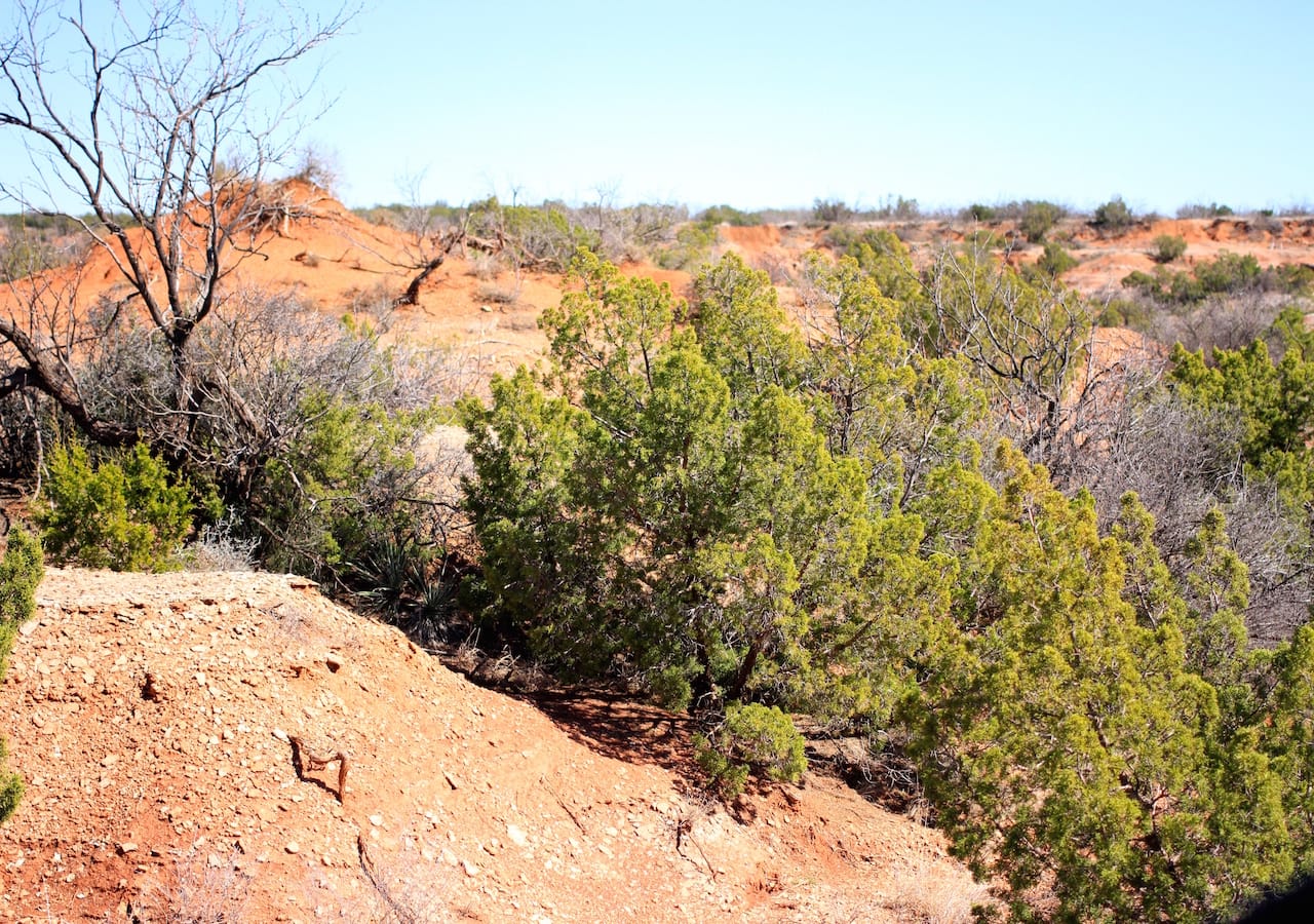 Red Rock Ranch Tract 5 photo 4