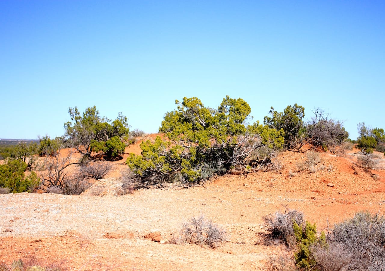 Red Rock Ranch Tract 5 photo 5