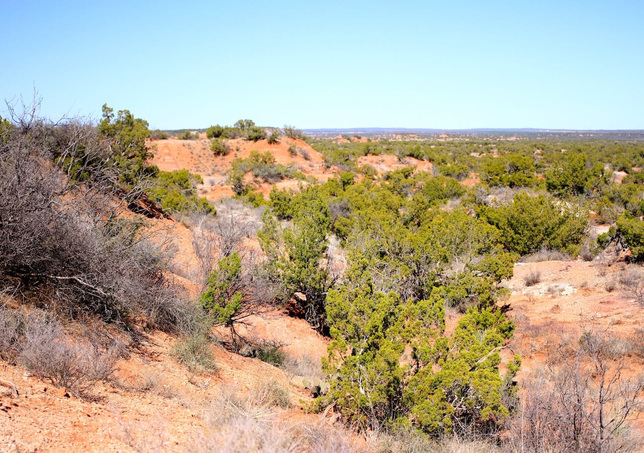 Red Rock Ranch Tract 5 photo 7