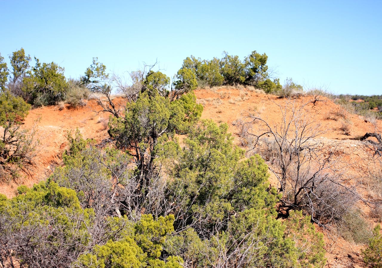 Red Rock Ranch Tract 5 photo 9