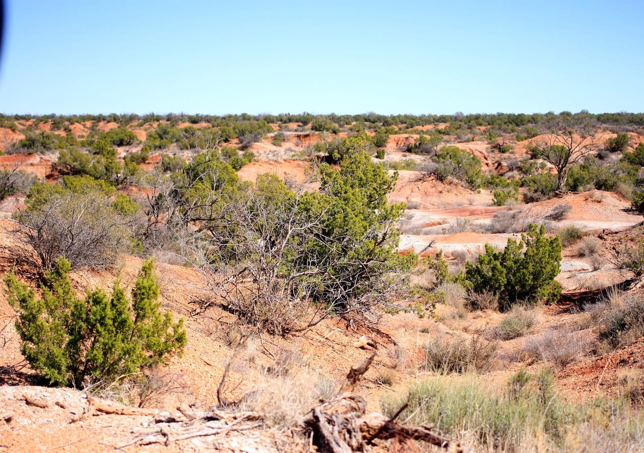 Red Rock Ranch Tract 5 photo 12