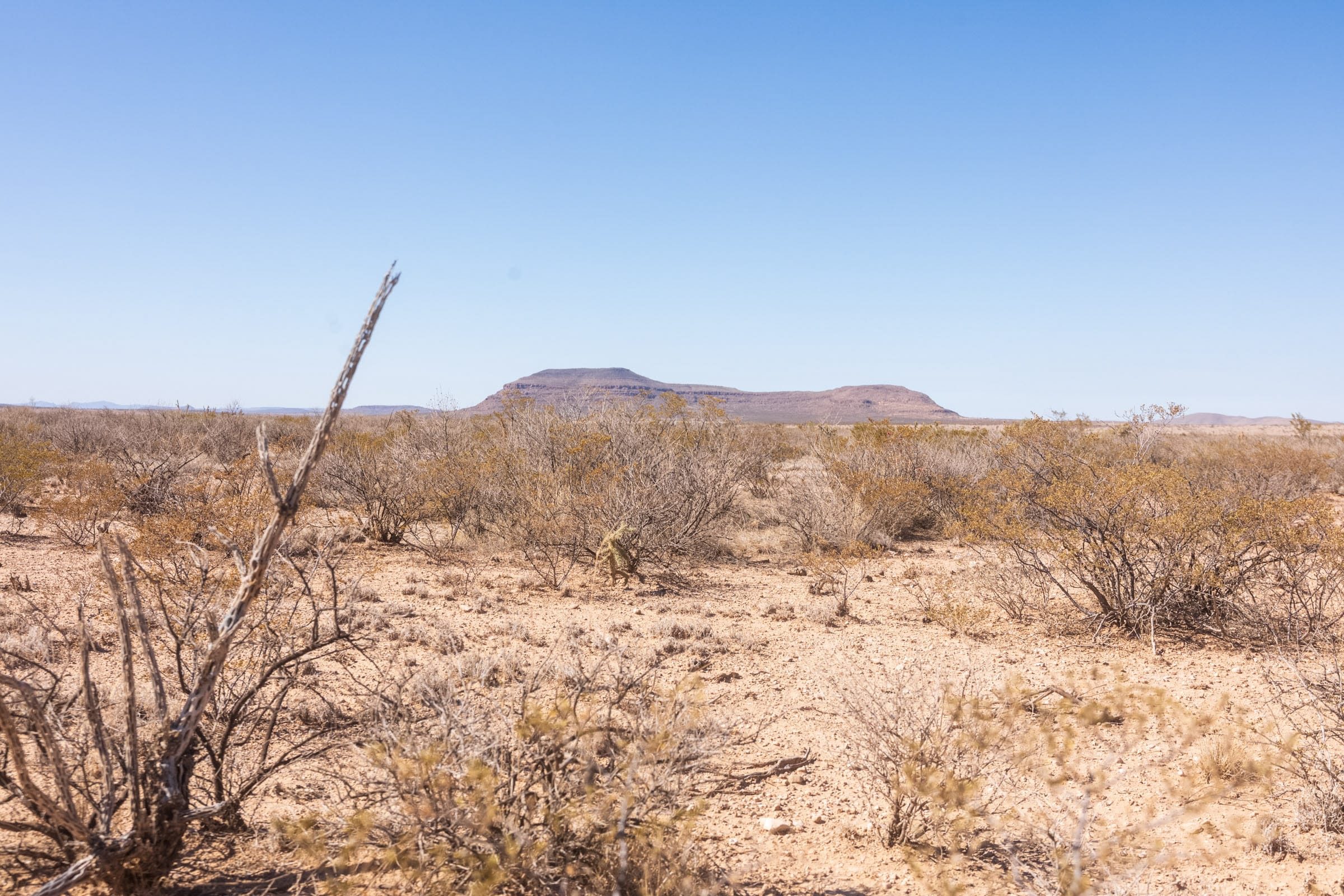 Sunrise Ranches Phase IV photo 11