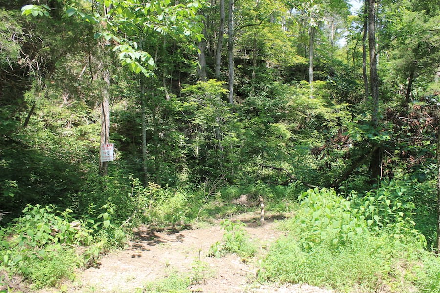 Cumberland Ridge Ranch Tract 12 photo 2