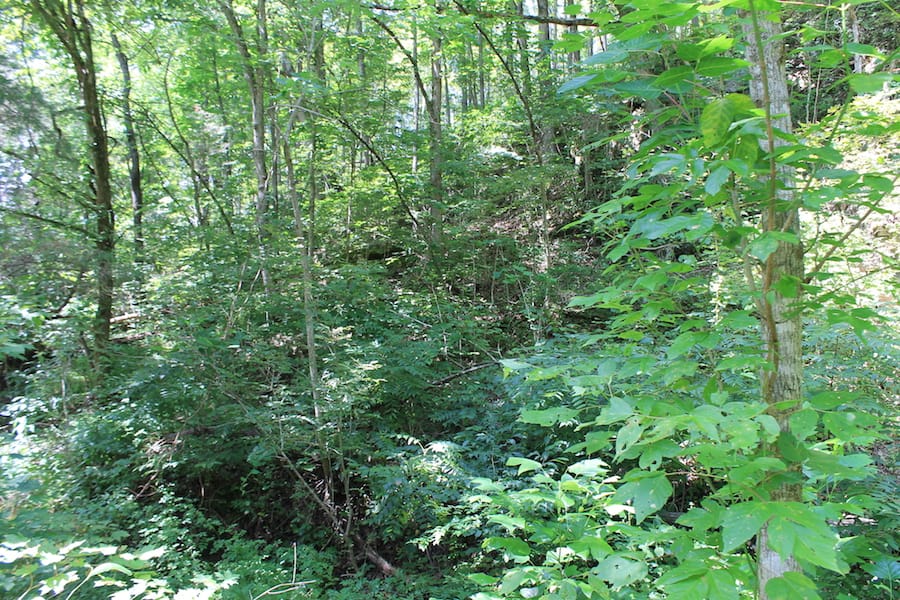 Cumberland Ridge Ranch Tract 12 photo 3