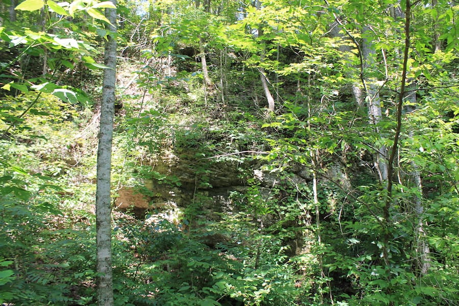 Cumberland Ridge Ranch Tract 12 photo 4