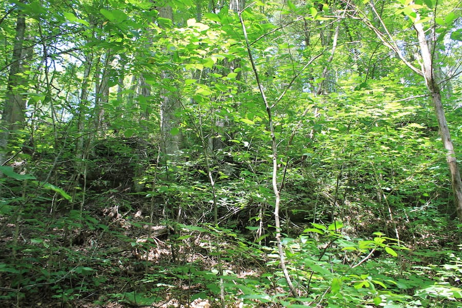 Cumberland Ridge Ranch Tract 12 photo 11