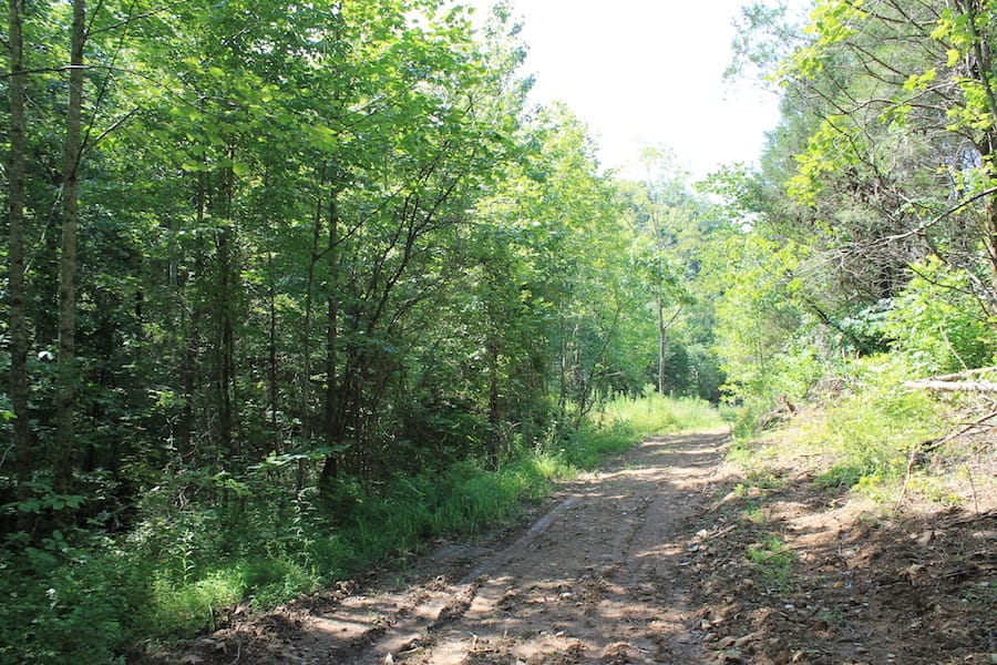Cumberland Ridge Ranch Tract 12 photo 15