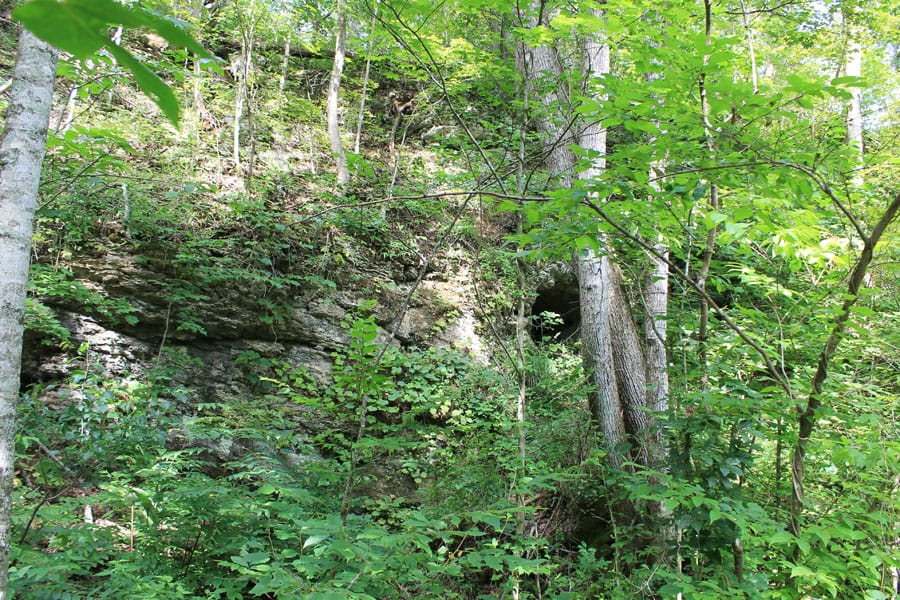 Cumberland Ridge Ranch Tract 12 photo 17