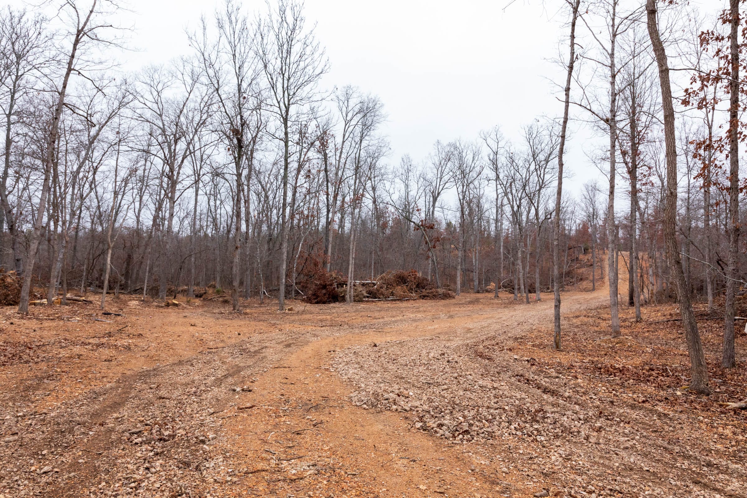 Carter’s Crossing Tract 10 photo 1
