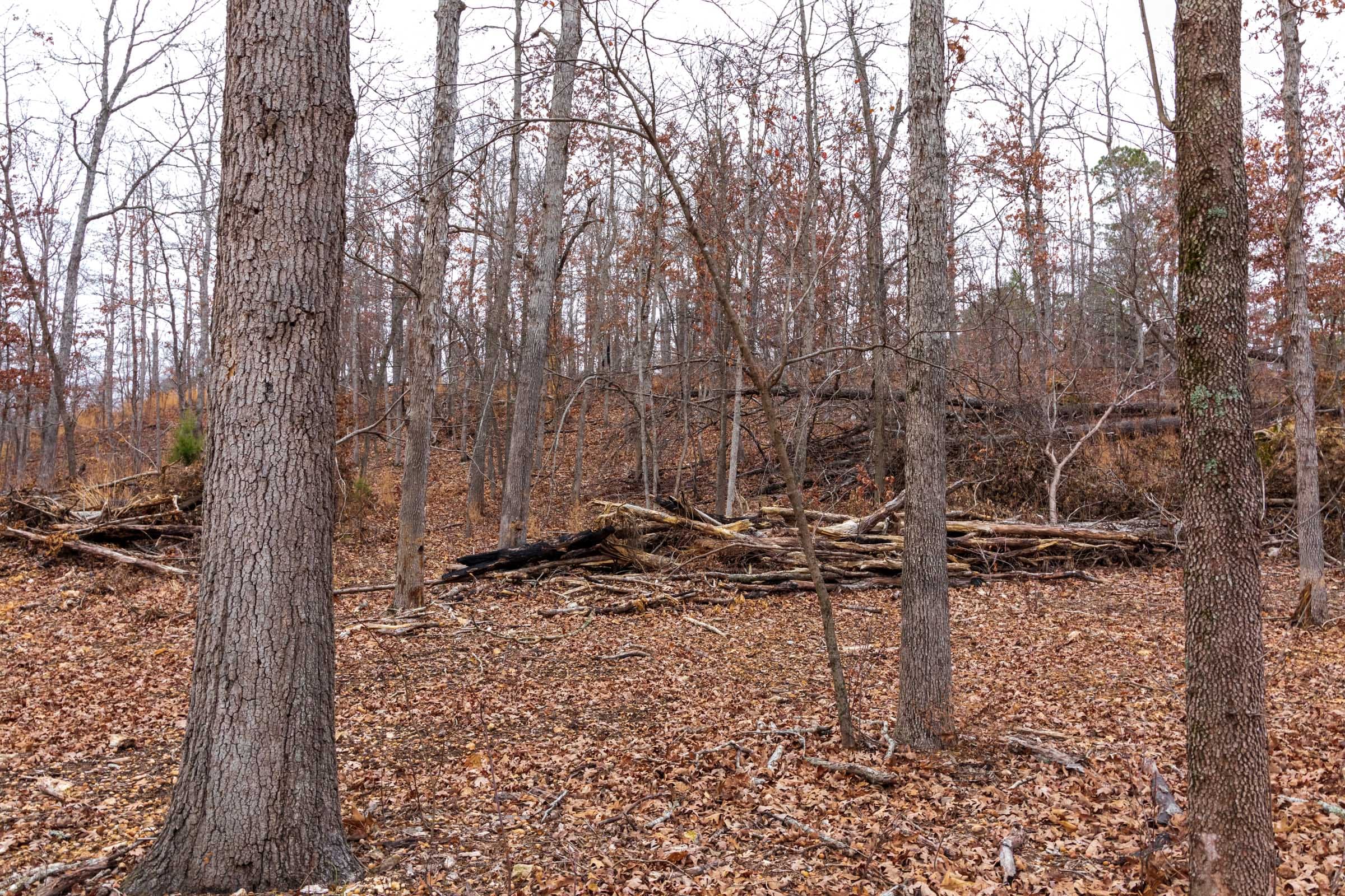 Carter’s Crossing Tract 10 photo 2