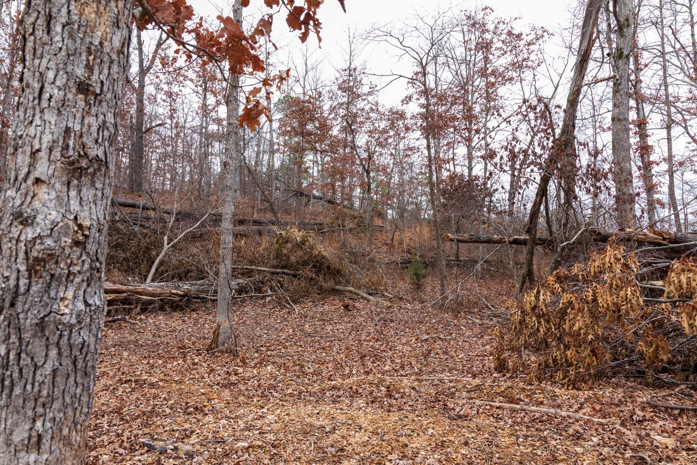 Carter’s Crossing Tract 10 photo 4