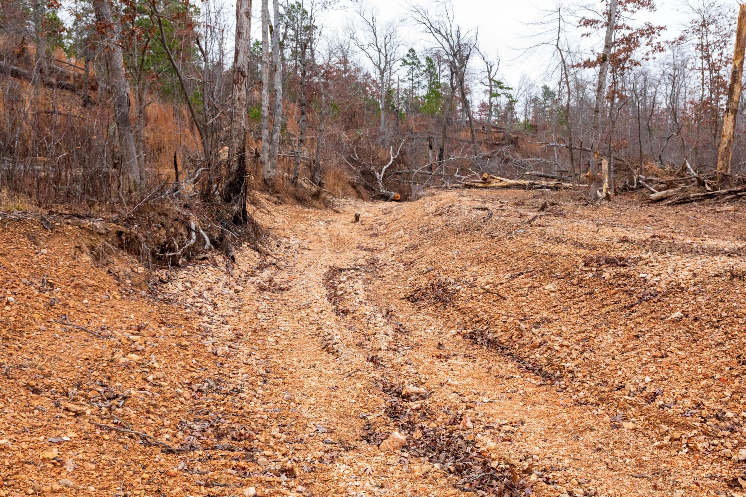 Carter’s Crossing Tract 10 photo 5