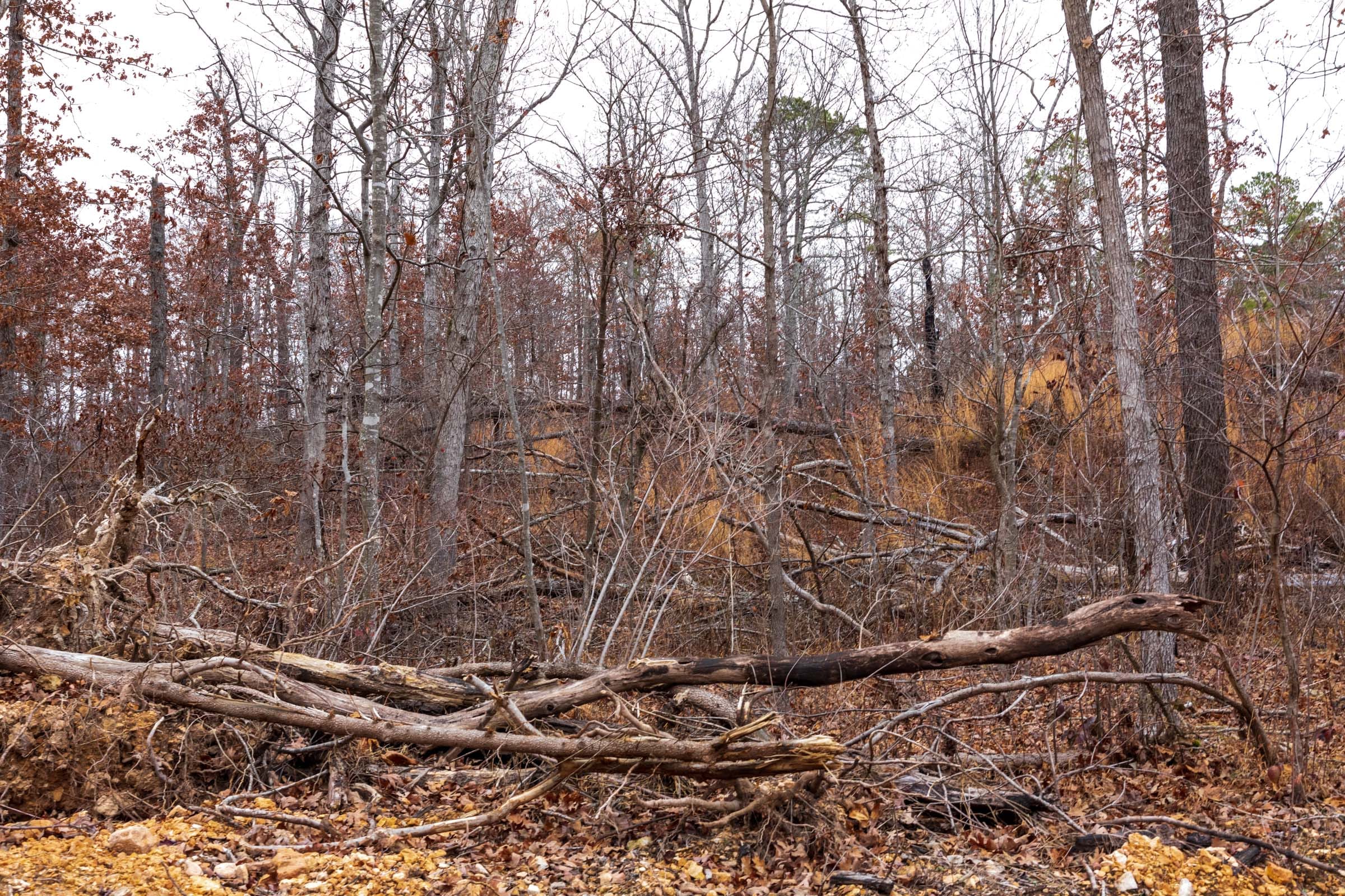 Carter’s Crossing Tract 10 photo 6