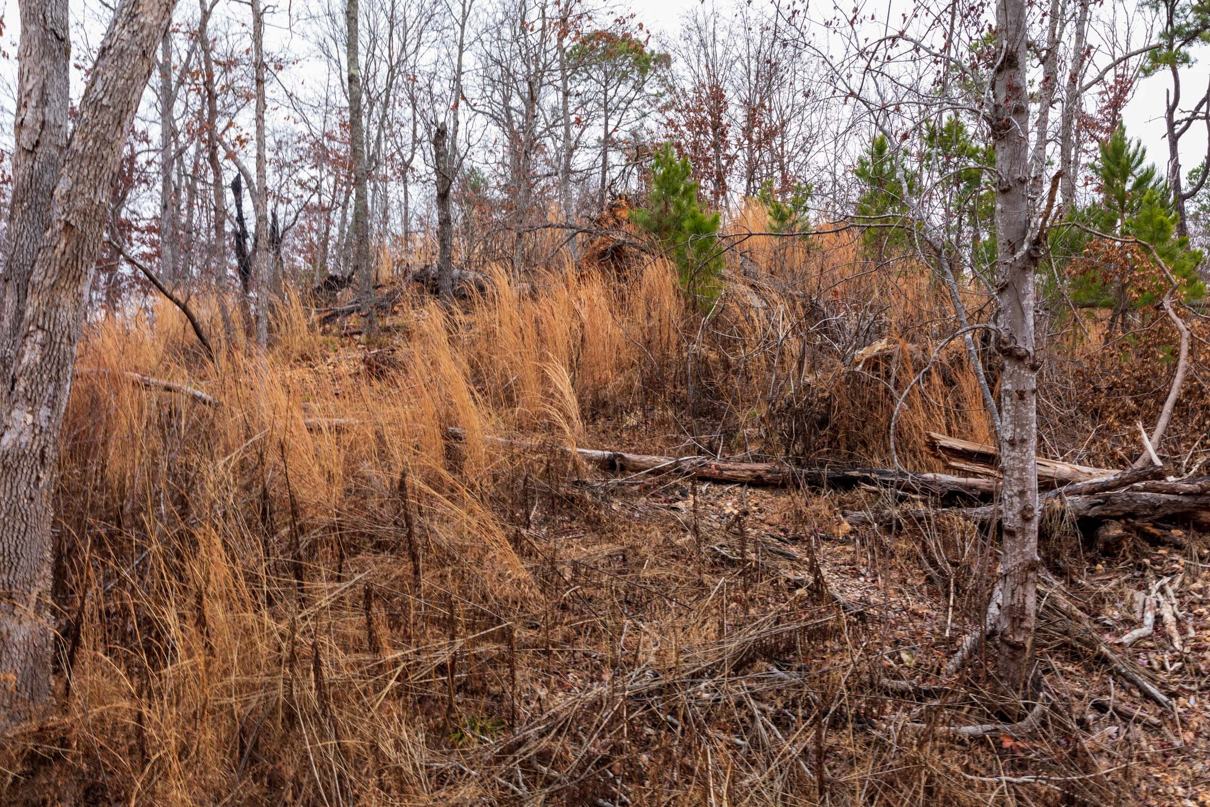 Carter’s Crossing Tract 10 photo 7