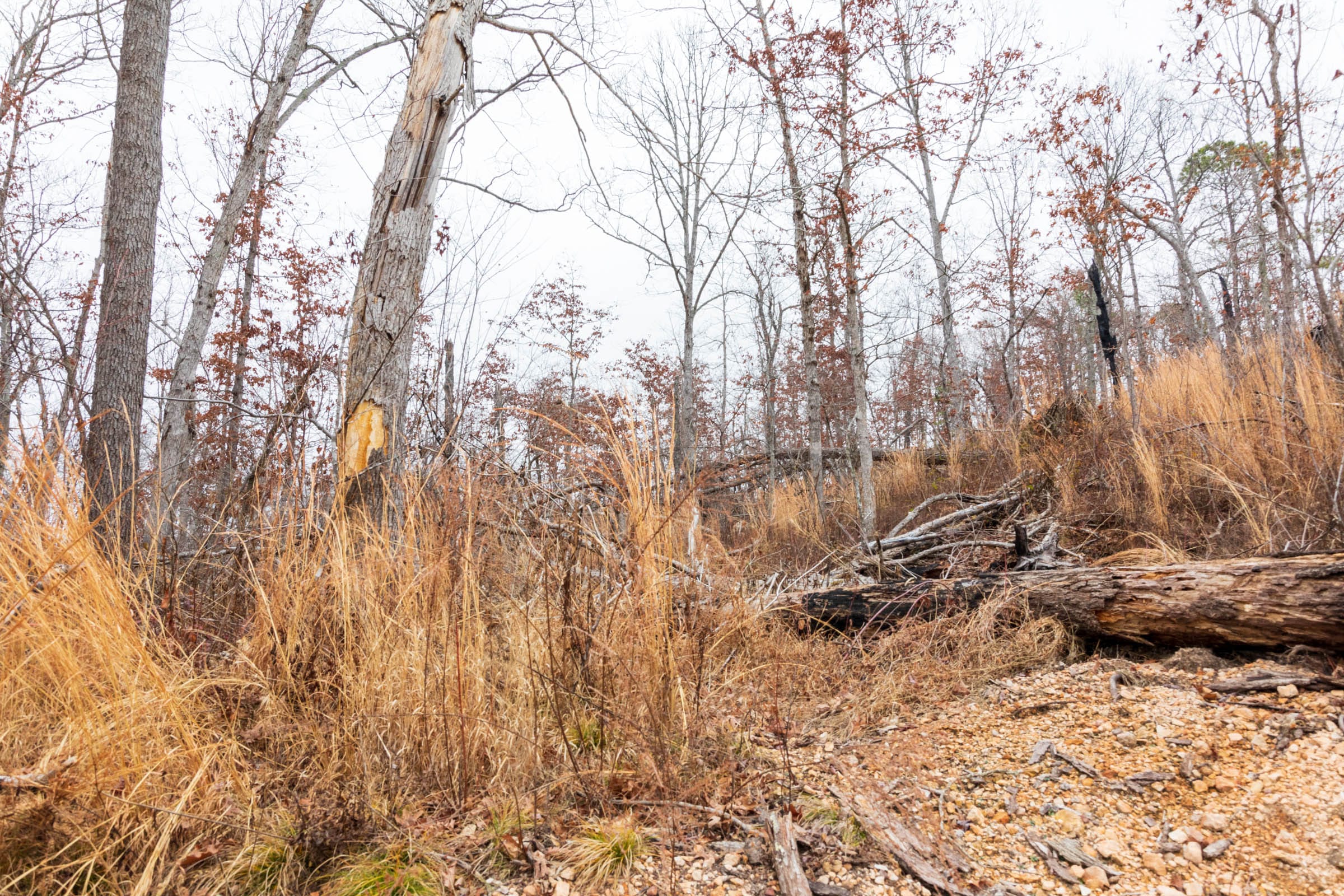 Carter’s Crossing Tract 10 photo 9