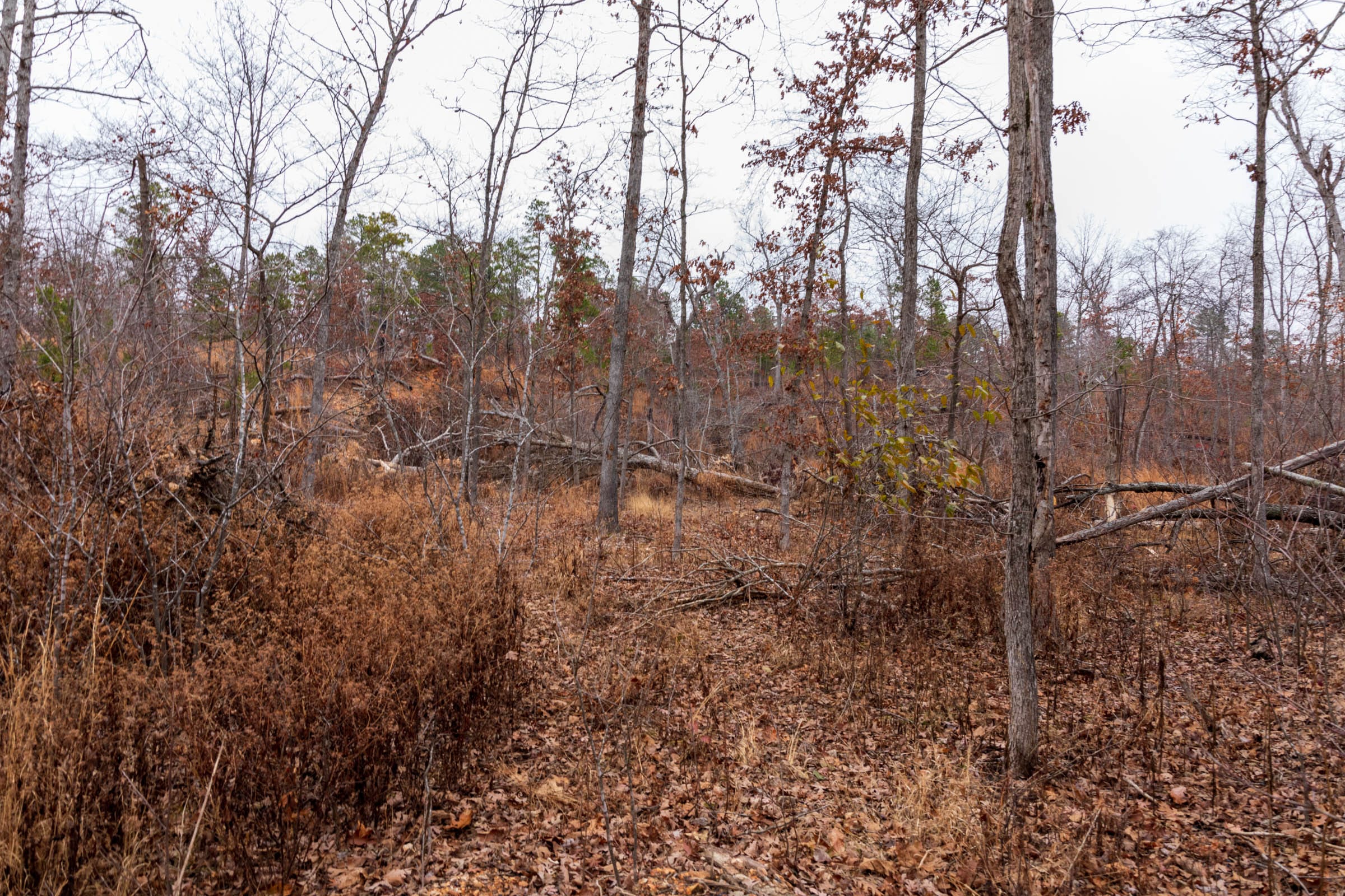 Carter’s Crossing Tract 10 photo 8