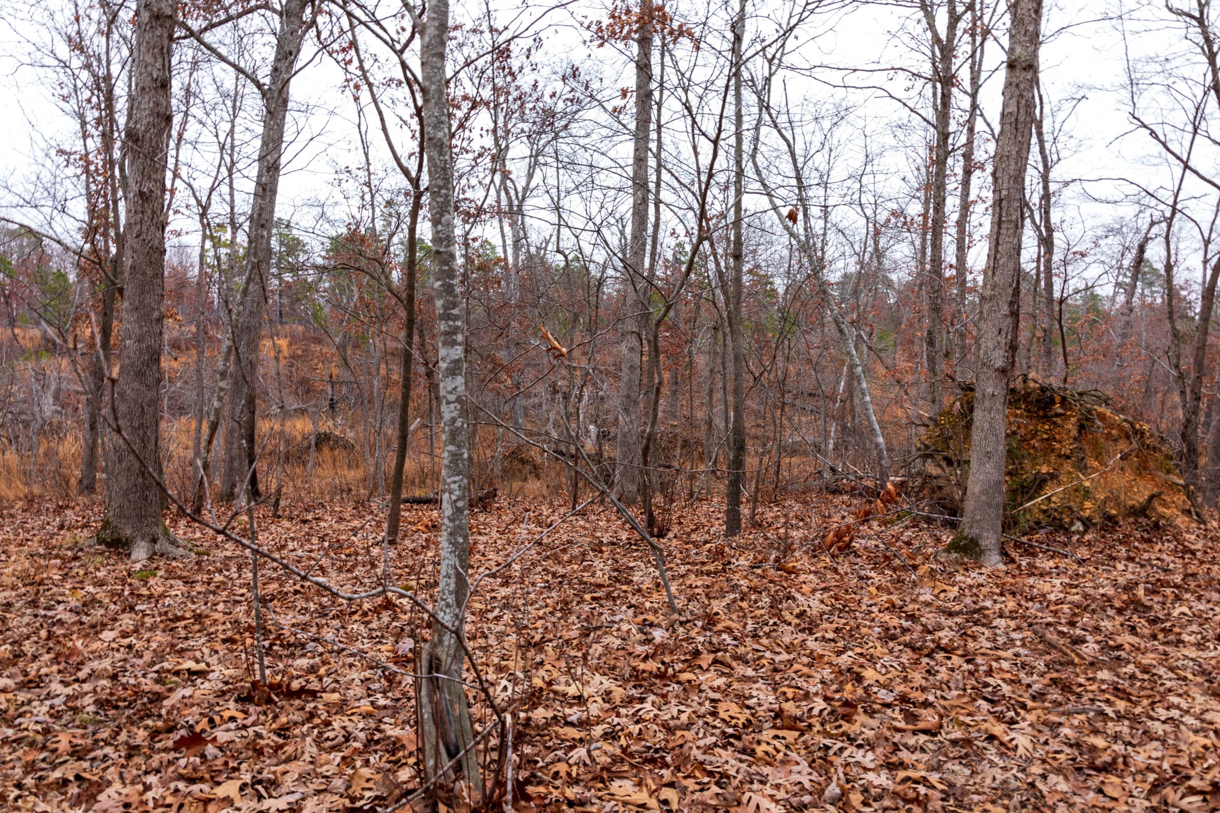 Carter’s Crossing Tract 10 photo 10