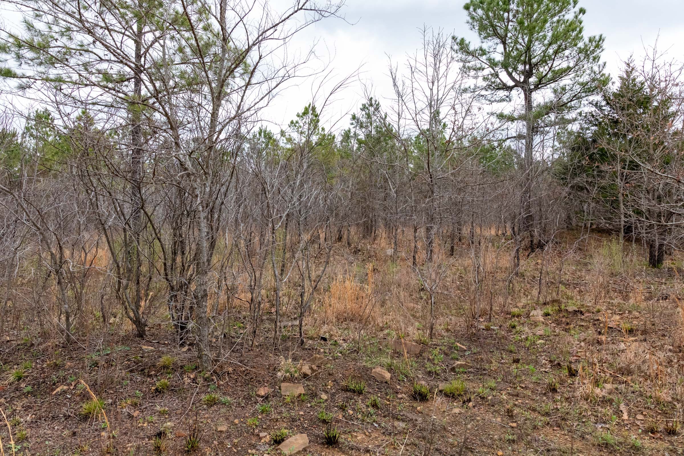 Stone Bridge Phase III Tract 195 photo 5