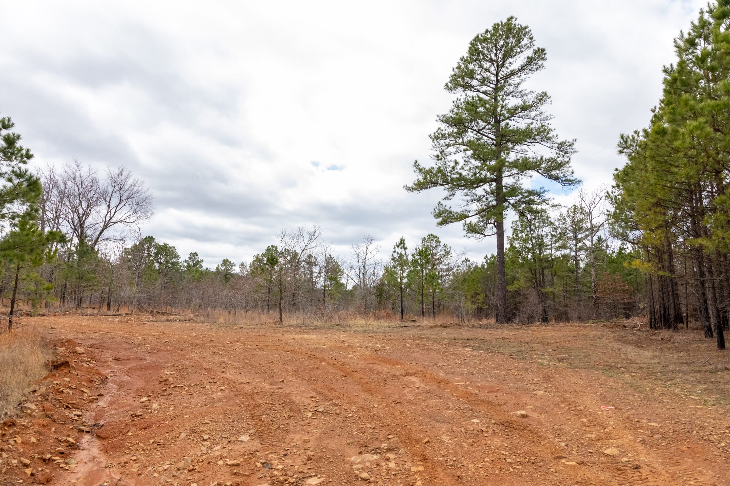Stone Bridge Phase III Tract 195 photo 9
