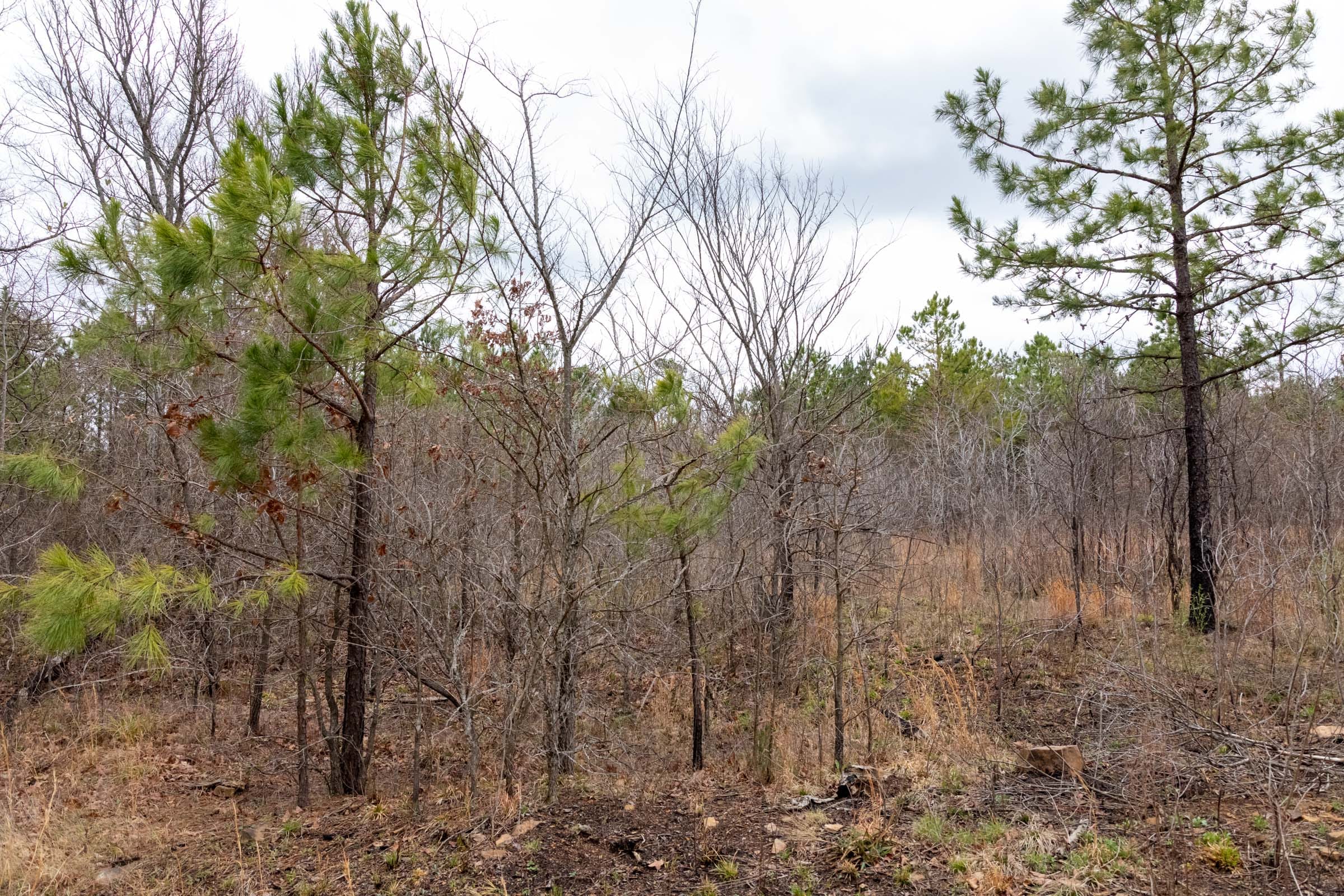 Stone Bridge Phase III Tract 195 photo 6