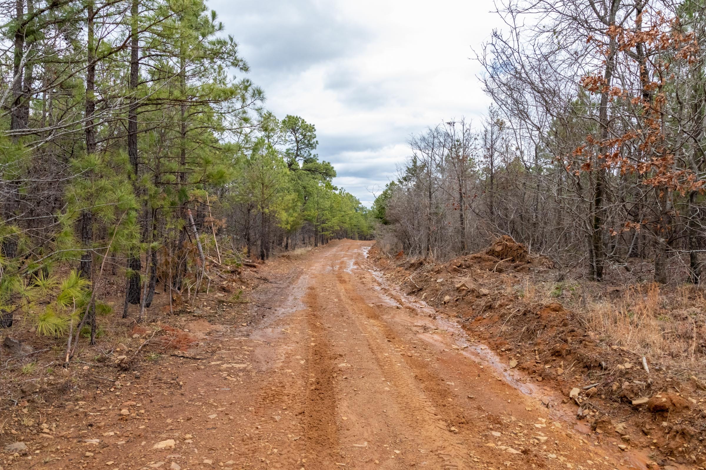 Stone Bridge Phase III Tract 195 photo 2