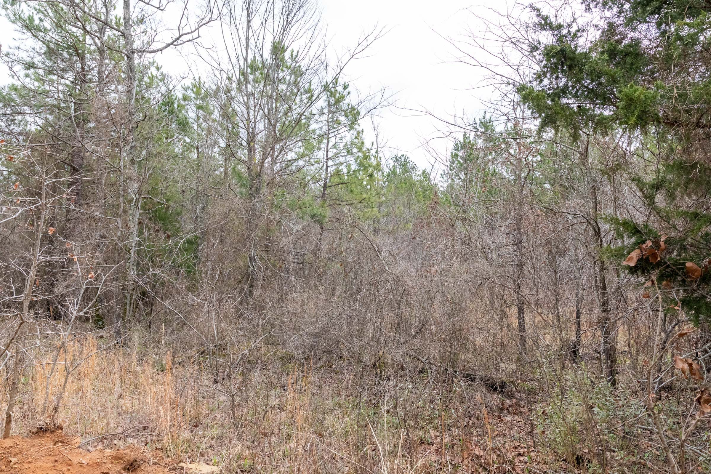 Stone Bridge Phase III Tract 195 photo 7