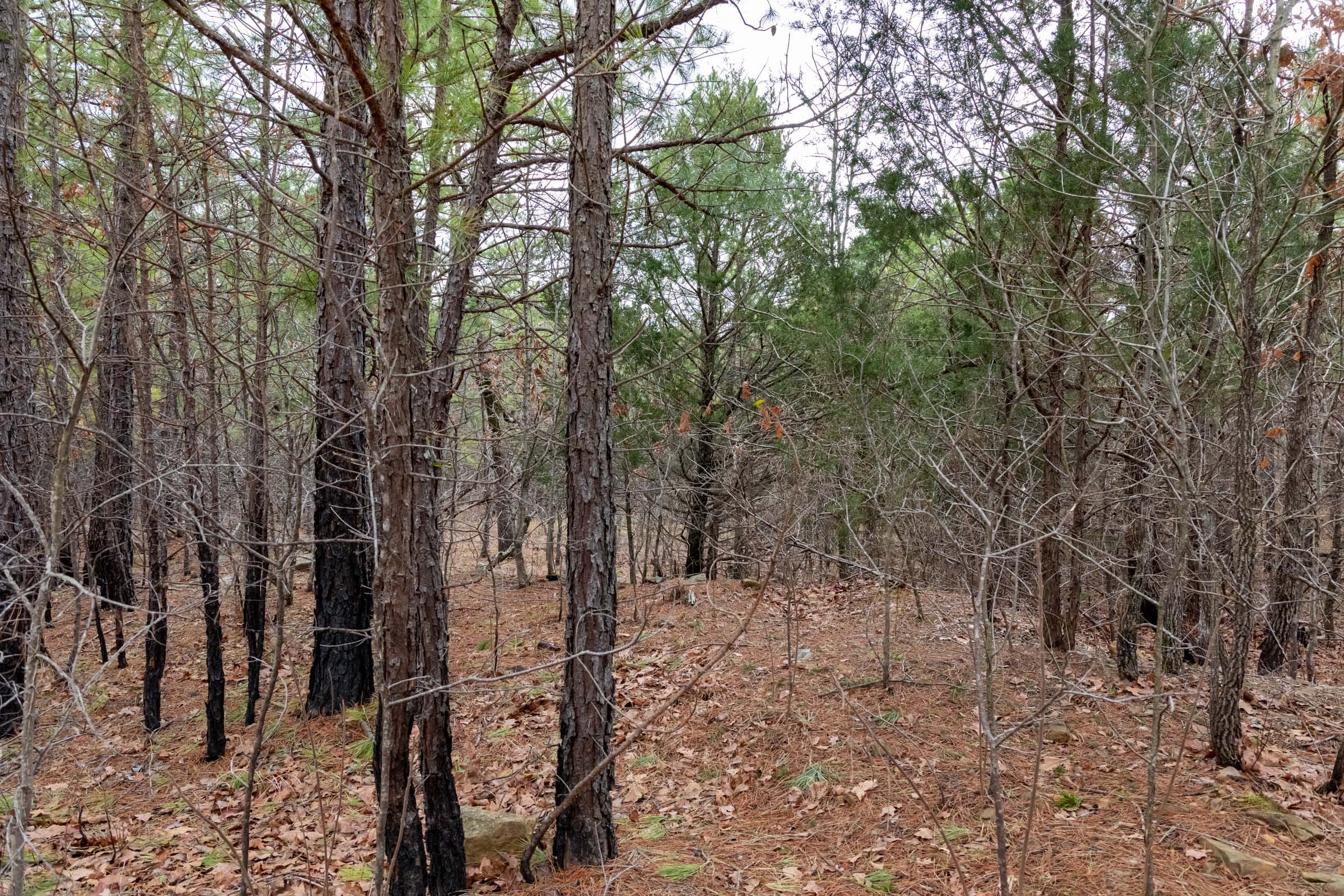 Stone Bridge Phase III Tract 195 photo 11