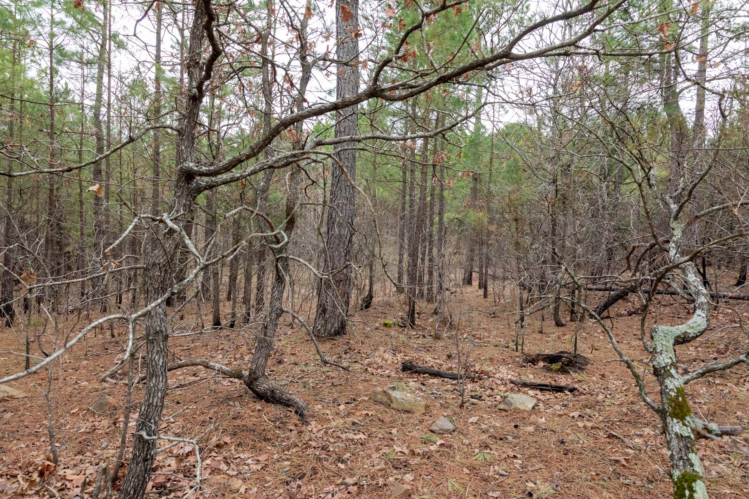 Stone Bridge Phase III Tract 195 photo 12