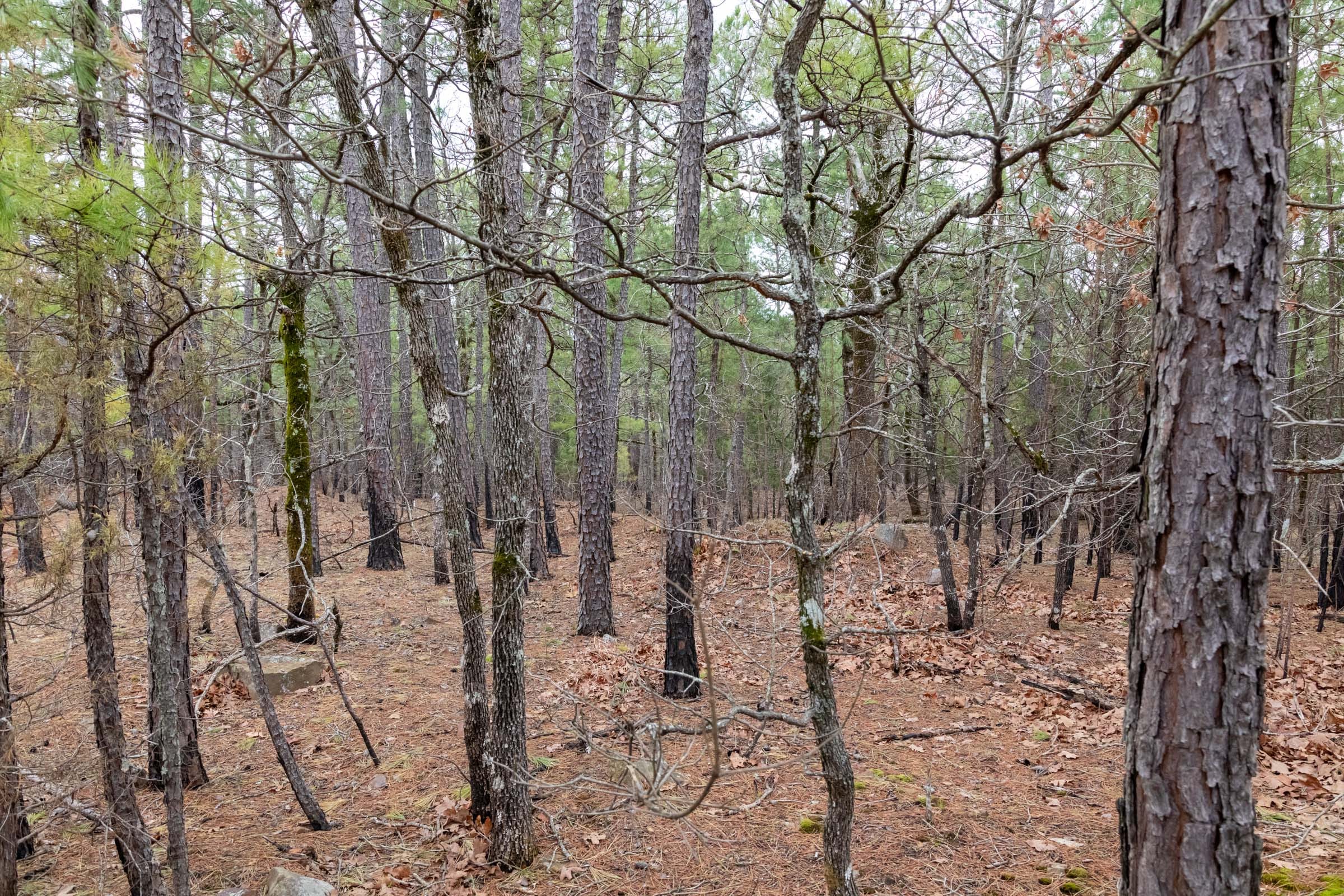 Stone Bridge Phase III Tract 195 photo 13
