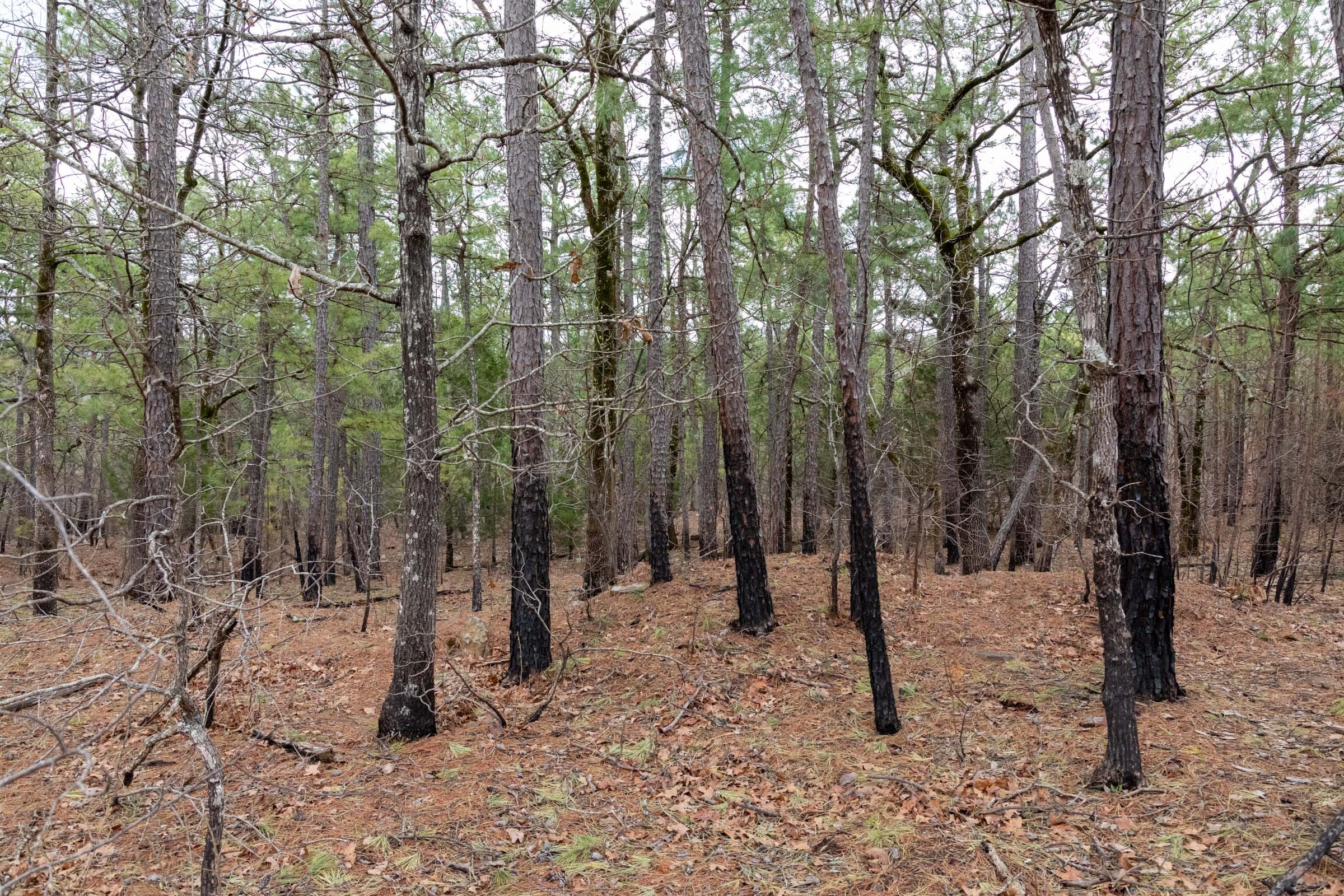 Stone Bridge Phase III Tract 195 photo 14