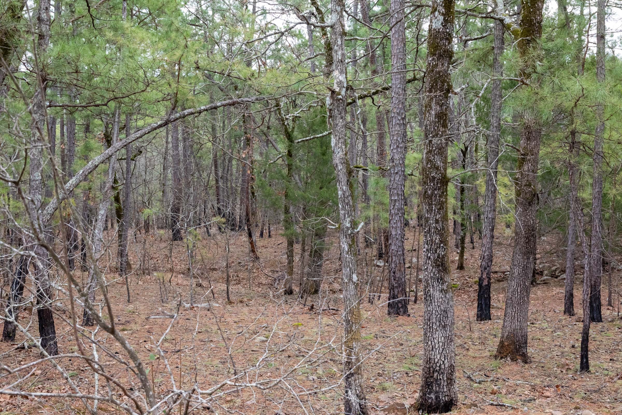 Stone Bridge Phase III Tract 195 photo 15