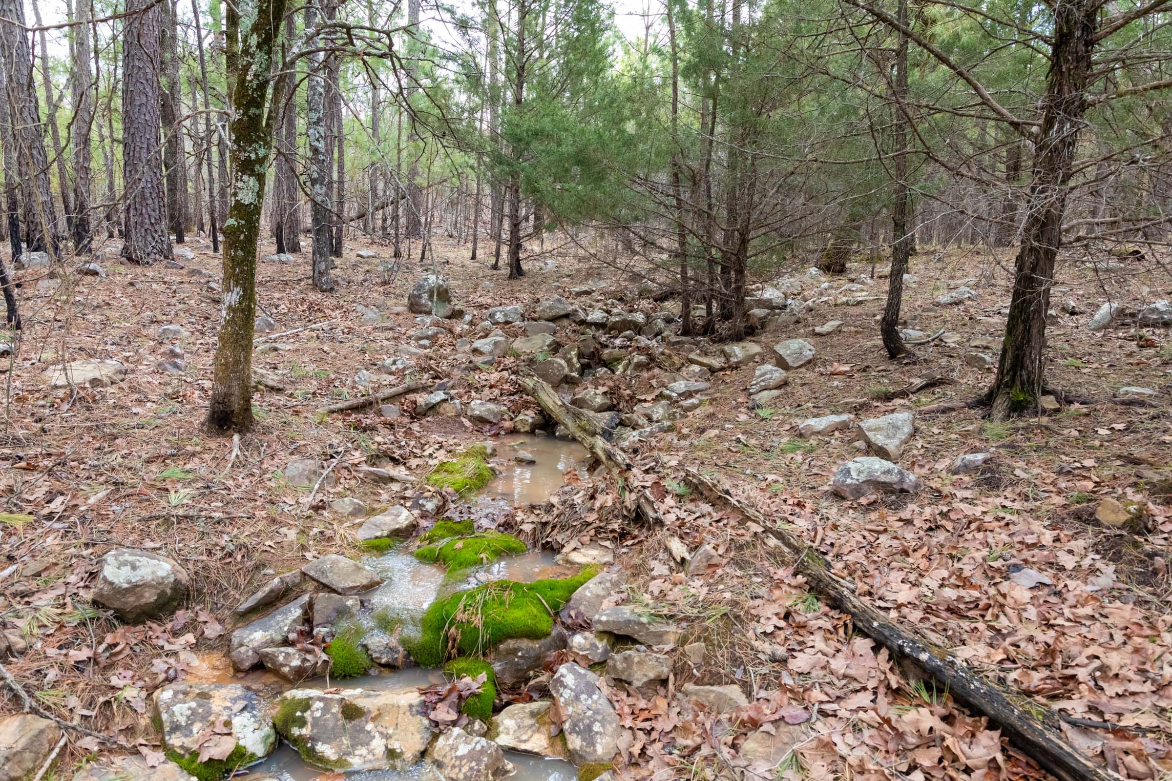 Stone Bridge Phase III Tract 195 photo 3