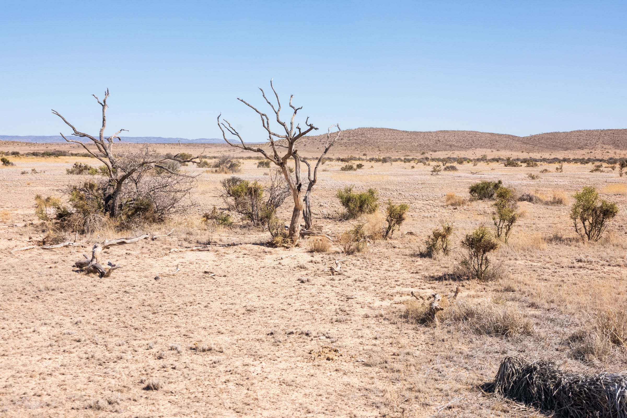Sunrise Ranches Phase III Tract 117 photo 6