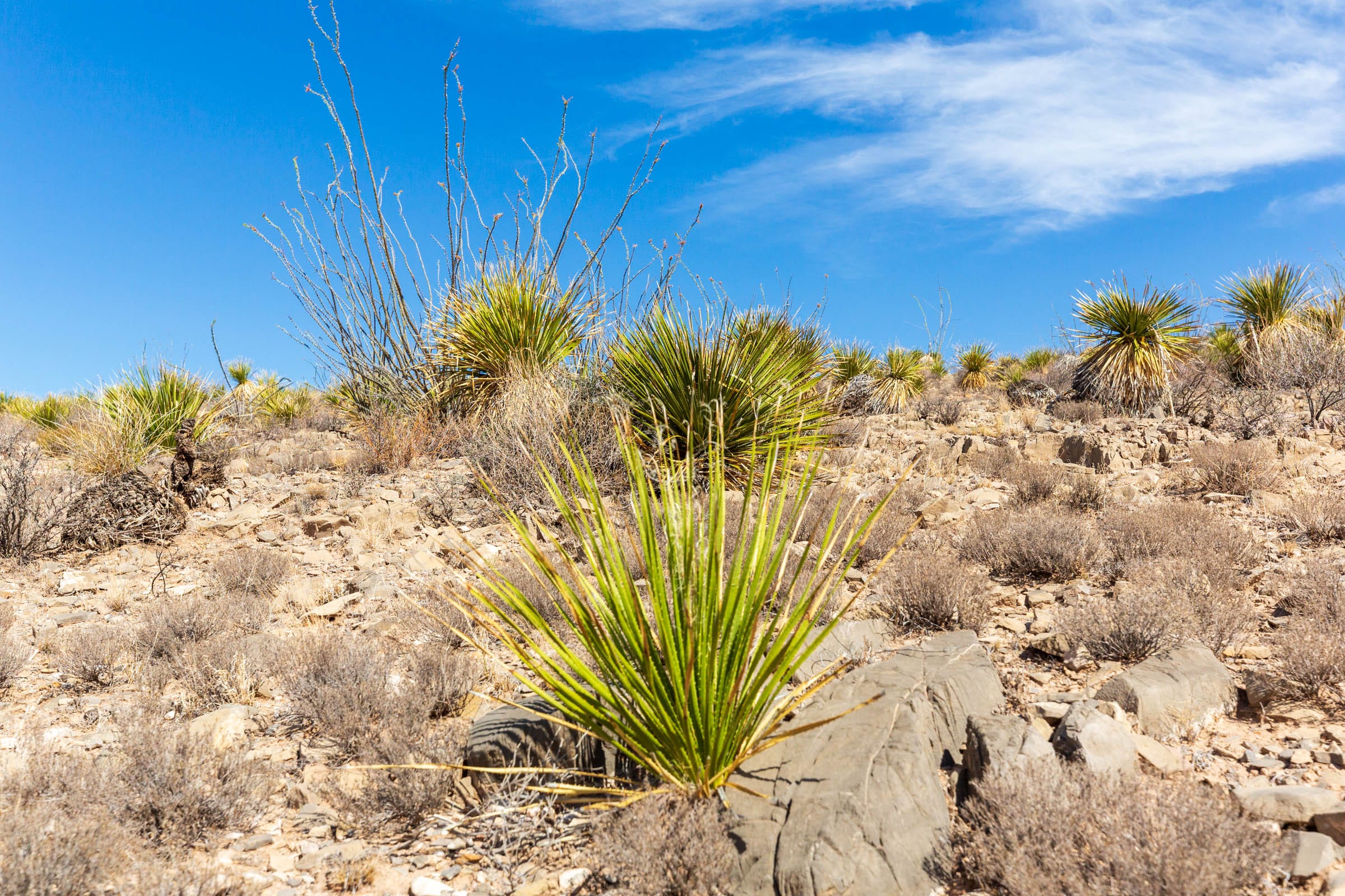 Sunrise Ranches Phase III Tract 129 photo 12