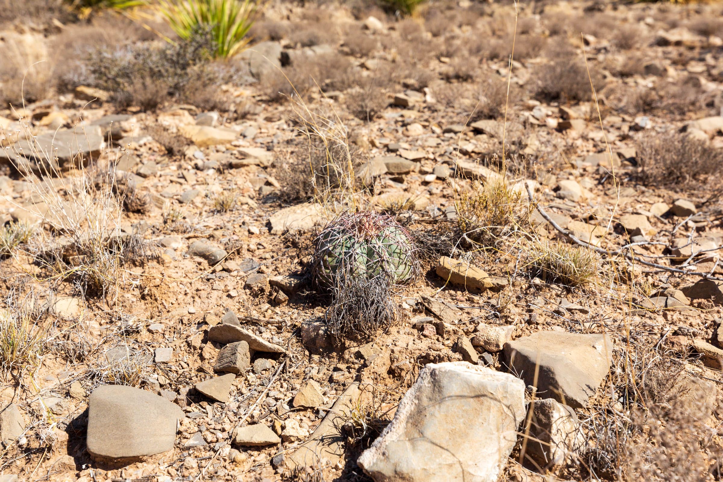 Sunrise Ranches Phase III Tract 129 photo 11