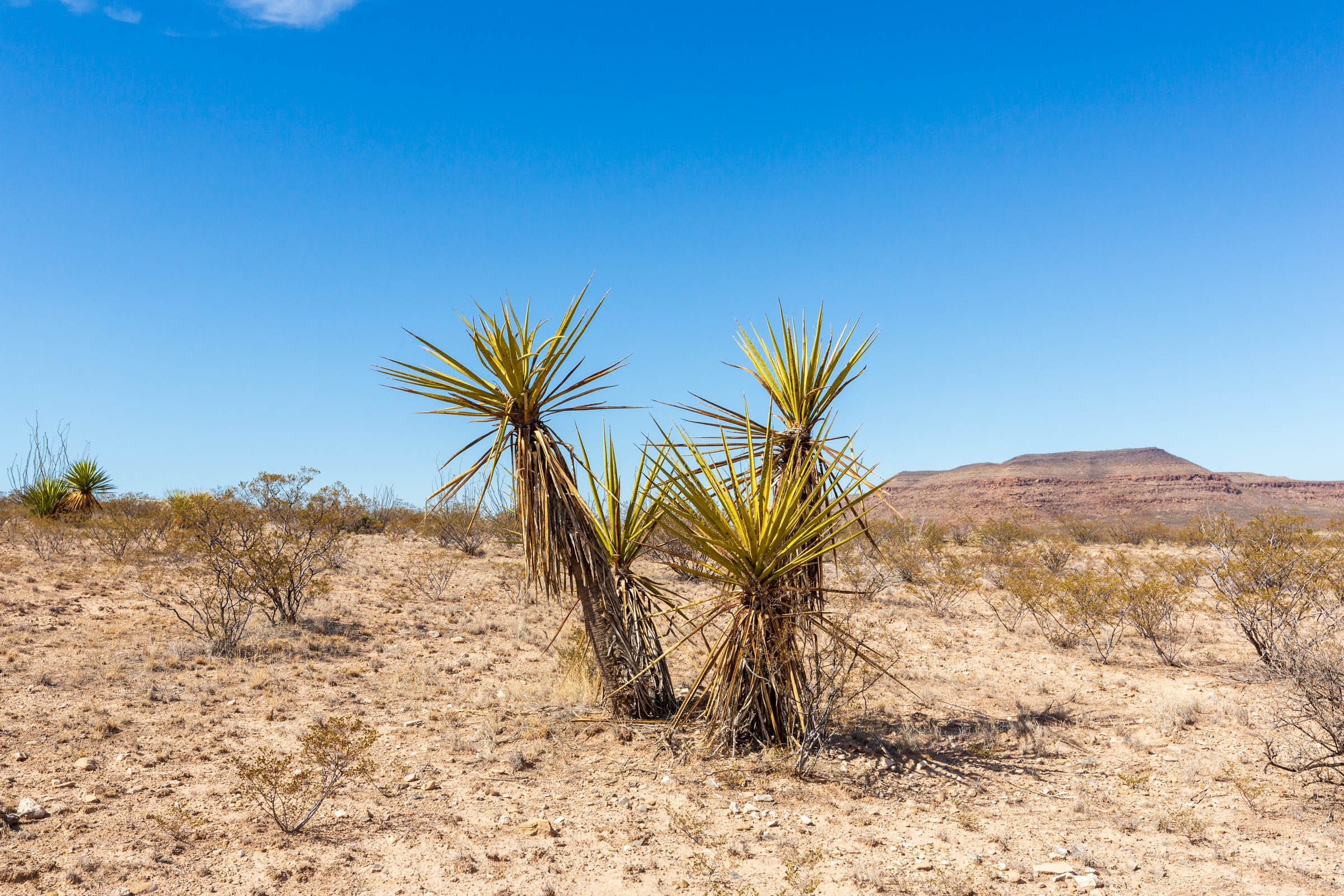 Sunrise Ranches Phase III Tract 129 photo 19
