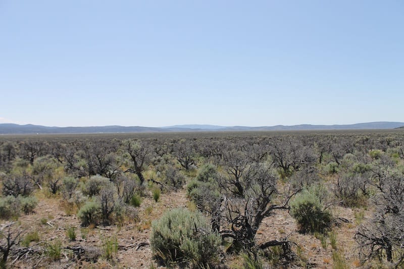 Moon Valley Ranch Tract 331 photo 2