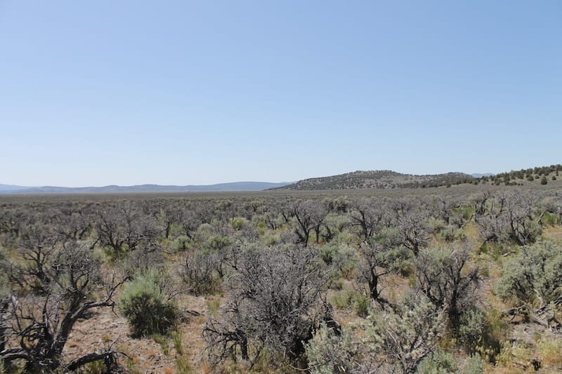 Moon Valley Ranch Tract 331 photo 3