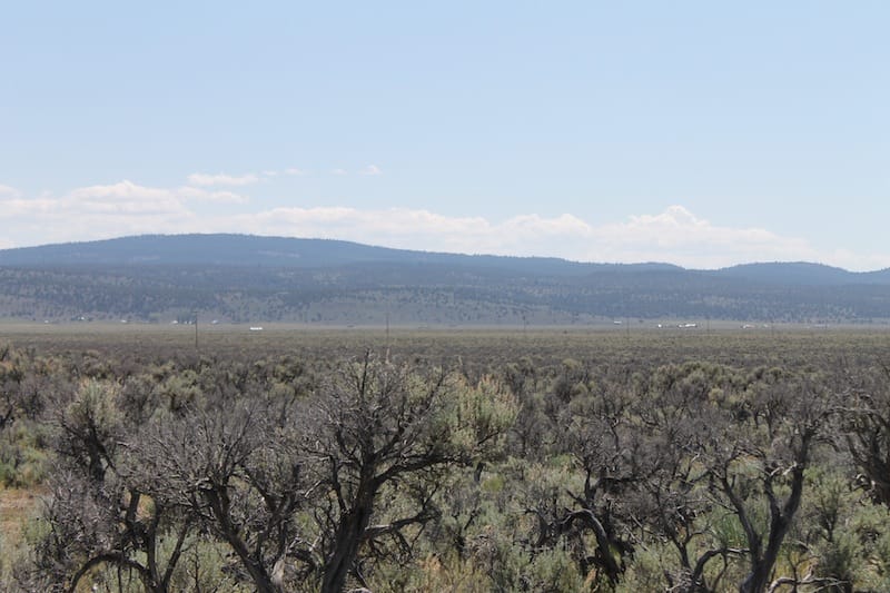 Moon Valley Ranch Tract 331 photo 8